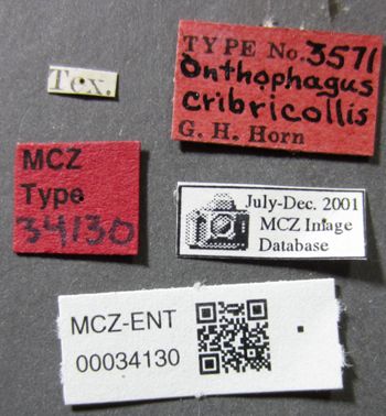 Media type: image;   Entomology 34130 Aspect: labels